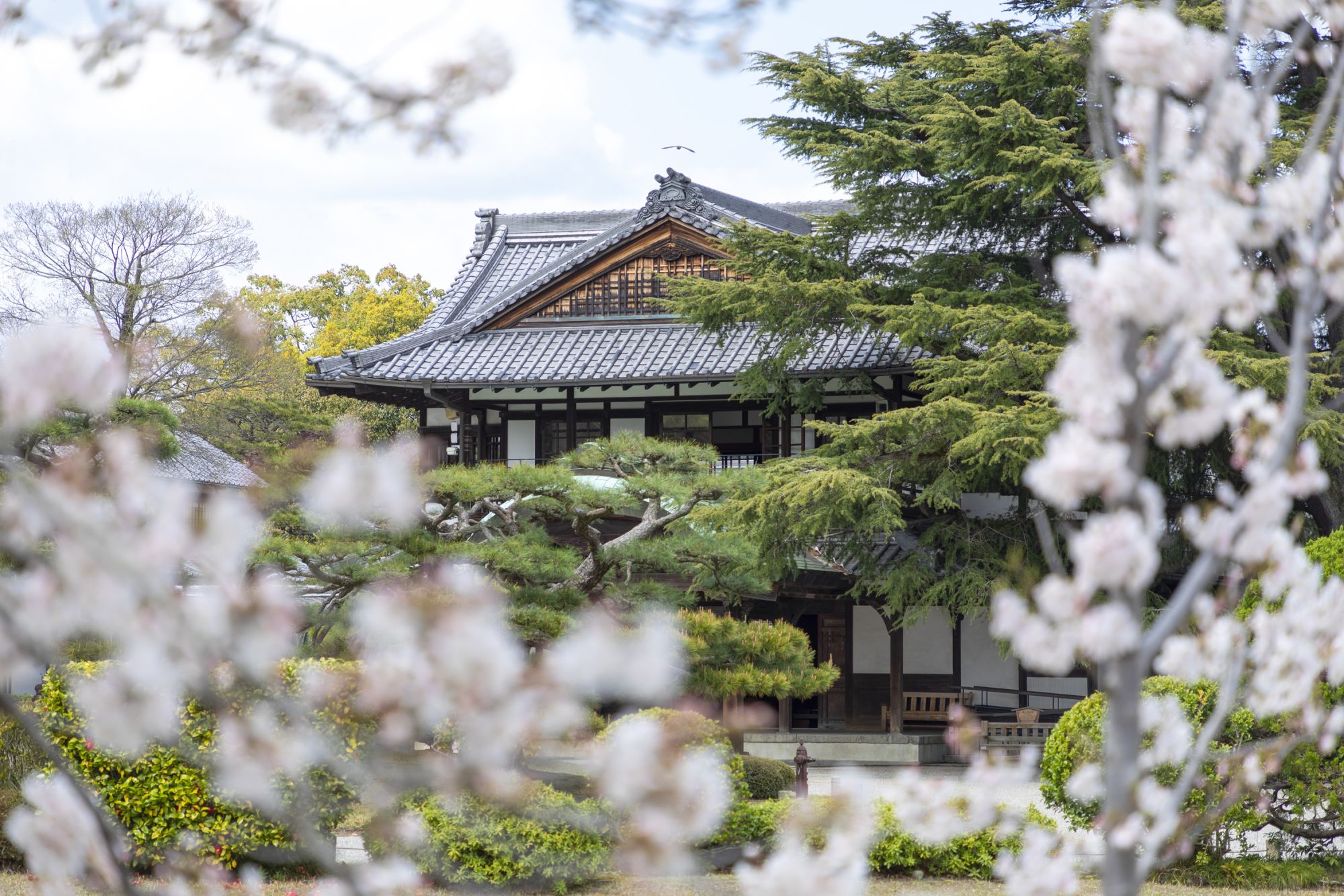 리츠린 공원